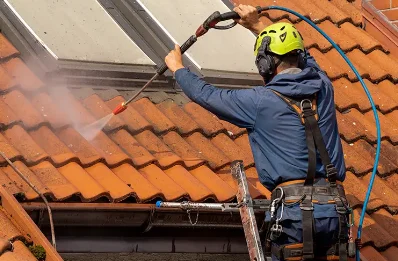 Démoussage et hydrofuge de toiture à Bourguenolles